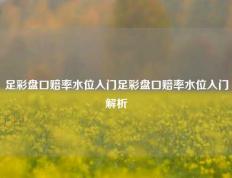 足彩盘口赔率水位入门足彩盘口赔率水位入门解析
