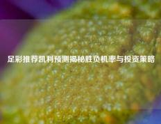 足彩推荐凯利预测揭秘胜负机率与投资策略