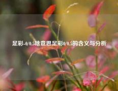 足彩-0/0.5啥意思足彩0/0.5的含义与分析