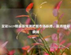 足彩16119期最新预测把握市场脉搏，赢得精彩瞬间