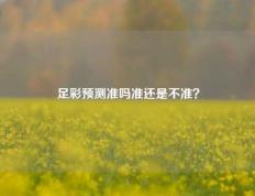 足彩预测准吗准还是不准？