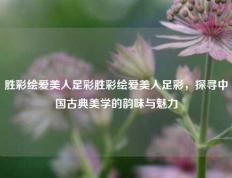 胜彩绘爱美人足彩胜彩绘爱美人足彩，探寻中国古典美学的韵味与魅力