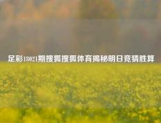 足彩18021期搜狐搜狐体育揭秘明日竞猜胜算