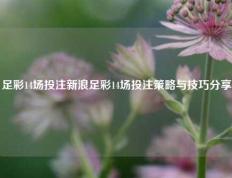 足彩14场投注新浪足彩14场投注策略与技巧分享