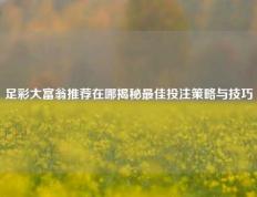 足彩大富翁推荐在哪揭秘最佳投注策略与技巧