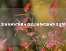 澳客足彩必发盈亏澳客足彩必发盈亏策略详解