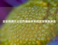 足彩预测什么软件揭秘未来的足球预测神器