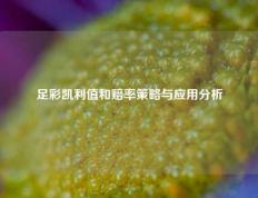 足彩凯利值和赔率策略与应用分析