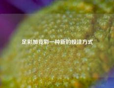足彩加竞彩一种新的投注方式