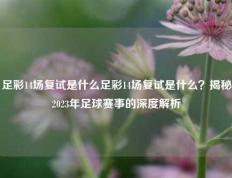 足彩14场复试是什么足彩14场复试是什么？揭秘2023年足球赛事的深度解析