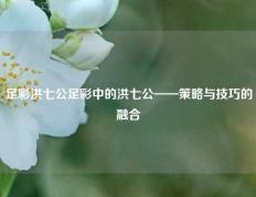 足彩洪七公足彩中的洪七公——策略与技巧的融合