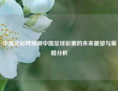 中国足彩网预测中国足球彩票的未来展望与策略分析
