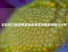 足彩妖刀新浪博客新浪博客的独家揭秘与分析
