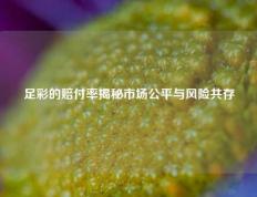 足彩的赔付率揭秘市场公平与风险共存