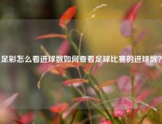 足彩怎么看进球数如何查看足球比赛的进球数？