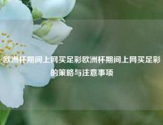 欧洲杯期间上网买足彩欧洲杯期间上网买足彩的策略与注意事项