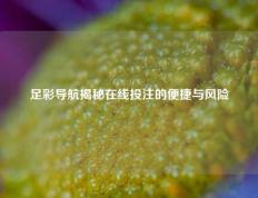 足彩导航揭秘在线投注的便捷与风险