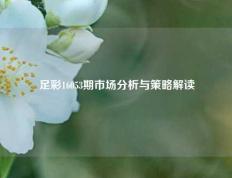足彩16053期市场分析与策略解读