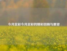 今月足彩今月足彩的精彩回顾与展望