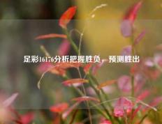 足彩16176分析把握胜负，预测胜出