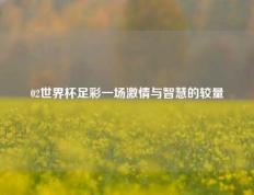 02世界杯足彩一场激情与智慧的较量