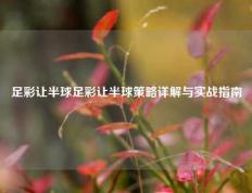 足彩让半球足彩让半球策略详解与实战指南
