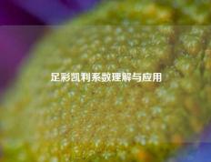足彩凯利系数理解与应用