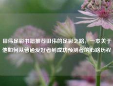 田伟足彩书籍推荐田伟的足彩之路，一本关于他如何从普通爱好者到成功预测者的心路历程