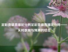 足彩竞猜直播比分网足彩竞猜直播比分网——实时数据与预测的结合
