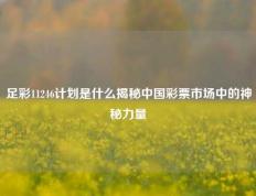 足彩11246计划是什么揭秘中国彩票市场中的神秘力量