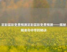 足彩篮彩免费预测足彩篮彩免费预测——揭秘精准命中率的秘诀