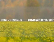 足彩6×20足彩6×20——揭秘竞猜的魅力与风险