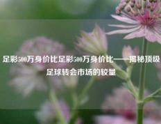足彩500万身价比足彩500万身价比——揭秘顶级足球转会市场的较量