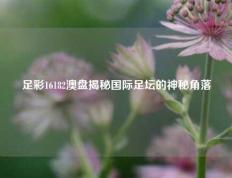 足彩16182澳盘揭秘国际足坛的神秘角落
