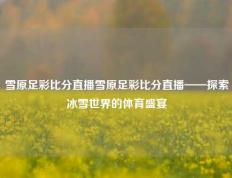 雪原足彩比分直播雪原足彩比分直播——探索冰雪世界的体育盛宴