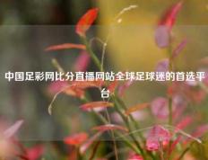 中国足彩网比分直播网站全球足球迷的首选平台