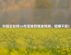 中国足彩网310专家推荐精准预测，稳赚不赔！