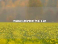 足彩16055期把握胜负的关键