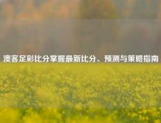 澳客足彩比分掌握最新比分、预测与策略指南