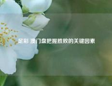 足彩 澳门盘把握胜败的关键因素