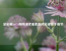 足彩第16174期预测把握胜算的关键在于细节