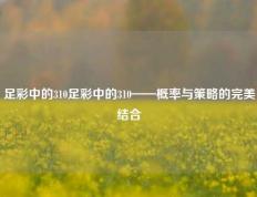 足彩中的310足彩中的310——概率与策略的完美结合