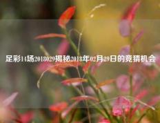 足彩14场2018029揭秘2018年02月29日的竞猜机会