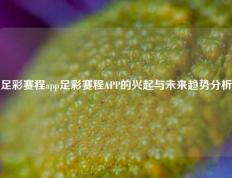 足彩赛程app足彩赛程APP的兴起与未来趋势分析