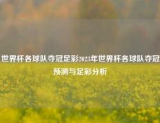 世界杯各球队夺冠足彩2023年世界杯各球队夺冠预测与足彩分析