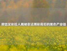微信足彩拉人揭秘非法博彩背后的黑色产业链