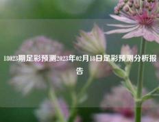 18023期足彩预测2023年02月18日足彩预测分析报告
