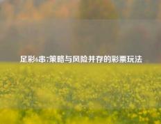 足彩6串7策略与风险并存的彩票玩法