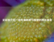 足彩加介绍一场充满刺激与智慧的博彩盛宴