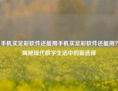 手机买足彩软件还能用手机买足彩软件还能用？揭秘现代数字生活中的新选择